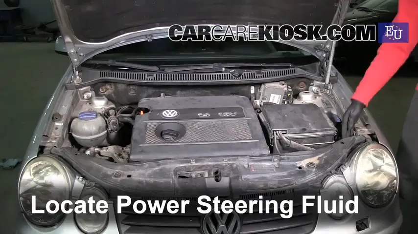 2002 Volkswagen Polo 1.4L 4 Cyl. Power Steering Fluid